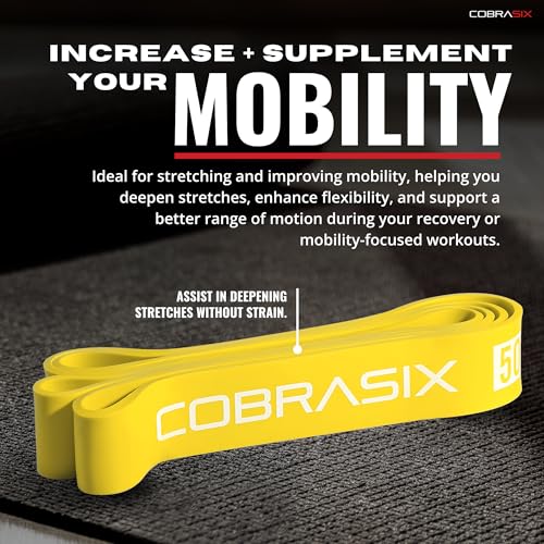 COBRASIX Resistance Bands | Long Resistance Bands for Working Out | Pull-Up Bands for Strength Training, Physical Therapy,...