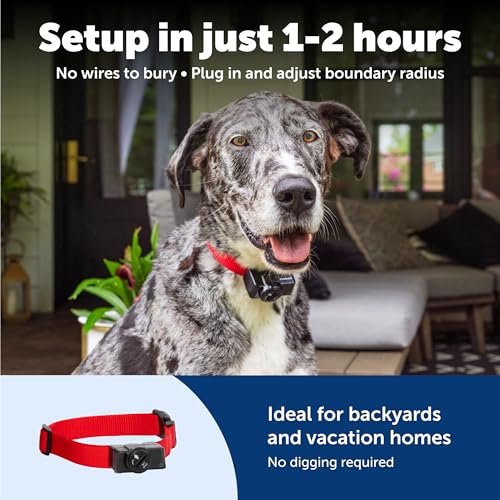 PetSafe Wireless Pet Containment System - Original Wireless Electric Fence for Dogs - Covers Up to 1/2 Acre - for Pets 8lb+