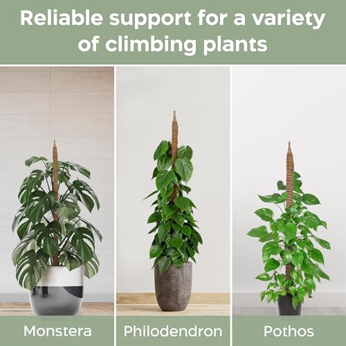 2 Pack 28'' Bendable Moss Pole Monstera Plant Support for Climbing Indoor Plants - Stakes for Potted Climbers - Tall Stick...