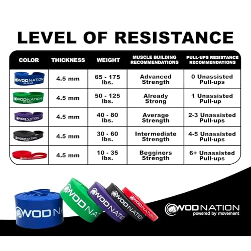 WOD Nation Pull Up Assistance Bands (10-175lbs Band) - Best for Pullup Assist, Chin Ups, Resistance Bands Exercise, Stretc...