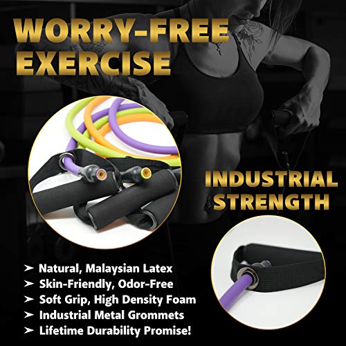 Resistance Bands Set for Men, Women, Exercise & Workout. Fitness Bands for Leg & Bicep Work. Workout Bands for Working Ou...