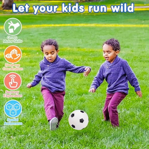 5 Pack Sports Balls Set for Kids with Bag Toddlers 1-3 Football Soccer Basketball Baseball Volleyball Outdoor Toys for 1 2...