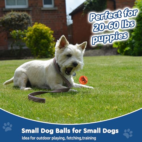INSUM Small Tennis Balls for Dogs - 12 Pack 2.0" Squeaky Dog Balls for Small Breed, SGS Certified Non-Toxic, Interactive F...