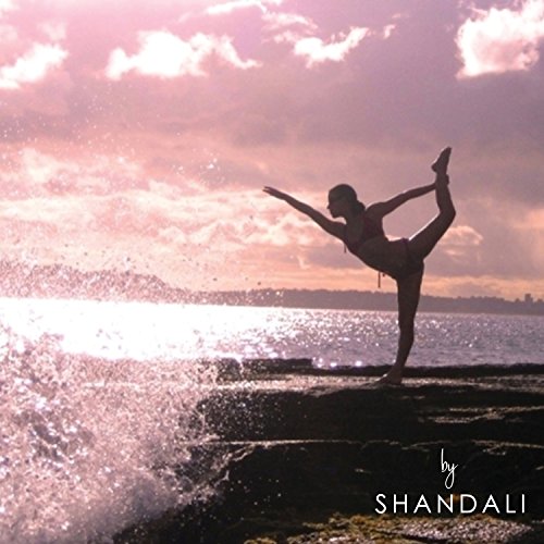 Shandali Hot Yoga Towel - Mat-Sized, Microfiber, Super Absorbent, Anti-Slip, Injury Free, 24" x 72" - Best Bikram Yoga Tow...