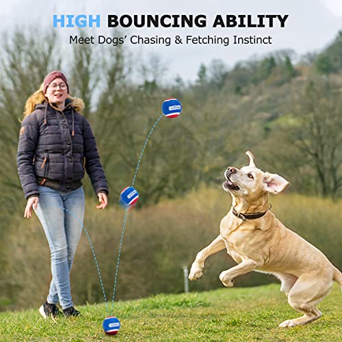 Nobleza Tennis Balls for Dogs 12 Pack, 2.5in Durable Bouncy Floatable Squeaky Tennis Balls for Dogs for Fetch & Exercise, ...