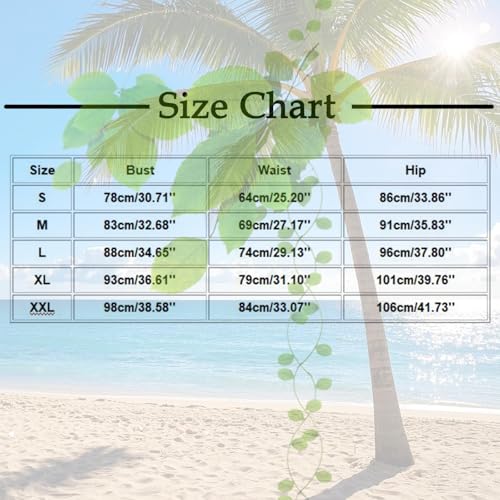Swim Dress Skirt for Women Mesh Sheer V Neck Swimwear One Piece Ruffle Cap Sleeve Ruched Front Bathing Suit