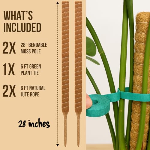 Craft911 Moss Pole Monstera Plant Support – 2 Pack 28” Bendable Moss Pole Monstera Plant Support, Plant Stakes for Indoor ...