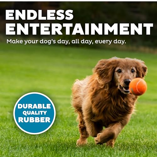 Outward Hound Squeaker Ballz – Squeaky Tennis Balls for Dogs 50 lbs and Over, Interactive Dog Toy for Fetch & Training, La...