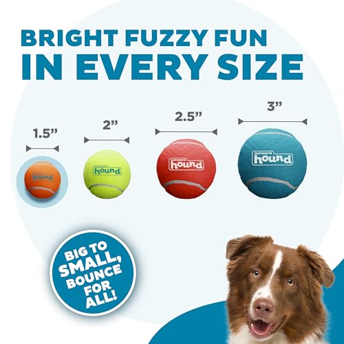 Outward Hound Squeaker Ballz – Squeaky Tiny Tennis Balls for Small Dogs Under 15 lbs, Fetch & Training, X-Small (1.5"), 8-...