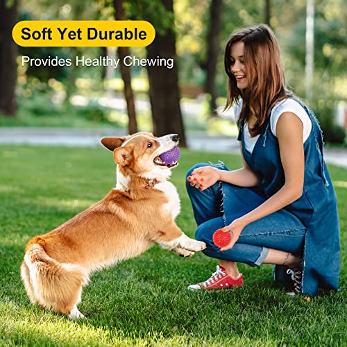 VITEVER 8 Colors 2.5” Squeaky Dog Toy Balls for Small Medium Dogs, Puppy Chew Toys for Teething, Spiky Balls for Small Dog...