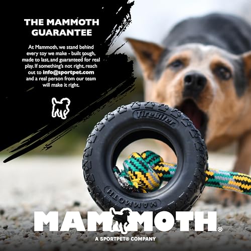 Chew King by Mammoth Glow-in-the-Dark Dog Fetch Balls (8-Pack), Lattice Rubber Balls for Night Play, High Bounce Fetch Toy...