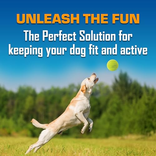 Nerf Dog Classic Squeak Ball Outdoor Dog Toy, 3.8 Inch Dog Ball Fetch Toy, Squeaking Toy for Medium and Large Breeds, Gree...