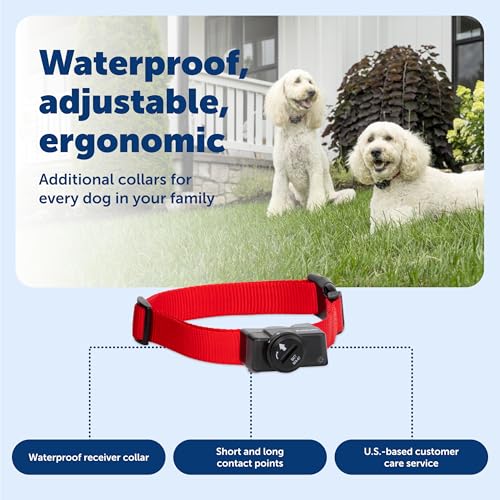 PetSafe Wireless Pet Containment System Receiver Collar - Battery-Operated & Waterproof - Adjustable Receiver Collar with ...