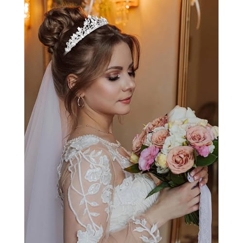 Amariver Silver Wedding Crown Crystal Small Tiara for Women Queen Crowns Princess Headband Rhinestones Tiaras for Bride Sp...