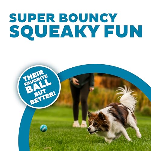 Outward Hound Squeaker Ballz – Squeaky Tennis Balls for Dogs Under 25 lbs, Interactive Dog Toy for Fetch & Training, Small...