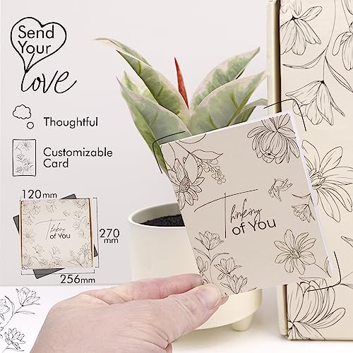 Thinking of You Valentines Day Gift Set for Her, Wife, Mom & Best Friend - Get Well Soon Gifts for Women - Relaxing Self C...