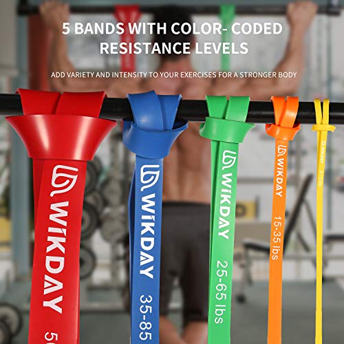 WIKDAY Resistance Bands, Pull Up Bands, Workout Bands for Exercise, Thick Heavy Resistance Band Set with Door Anchor, Elas...