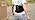 FREETOO Back Brace for Lower Back Pain Relief with Pulley System,Lumbar Support Belt for Men & Women with Lumbar Pad, Ergo...