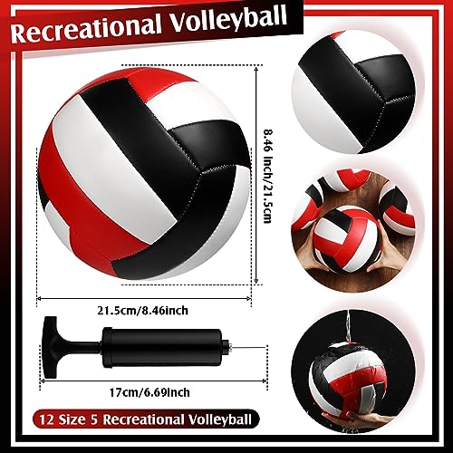 Wettarn Official Size 5 Volleyballs Bulk Soft Recreational Volleyballs with Pump Regulation Size for Beginner Indoor Outdo...