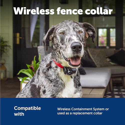 PetSafe Wireless Pet Containment System Receiver Collar - Battery-Operated & Waterproof - Adjustable Receiver Collar with ...