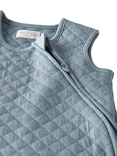 little planet by carter's Baby Organic Cotton Wearable Blanket