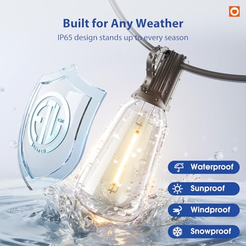 addlon 100FT LED Outdoor String Lights with Remote Waterproof Patio Lights with Shatterproof ST38 Replaceable Bulbs, Dimma...