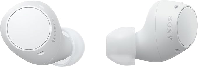 Sony WF-C510 Truly Wireless in-Ear Bluetooth Earbud Headphones with up to 22-Hour Battery, Multipoint-Connection, Mic and ...