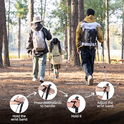 Naturehike Collapsible Trekking Poles, Adjustable Lightweight Aluminum Hiking Poles, Shock Absorption with Wrist Straps fo...