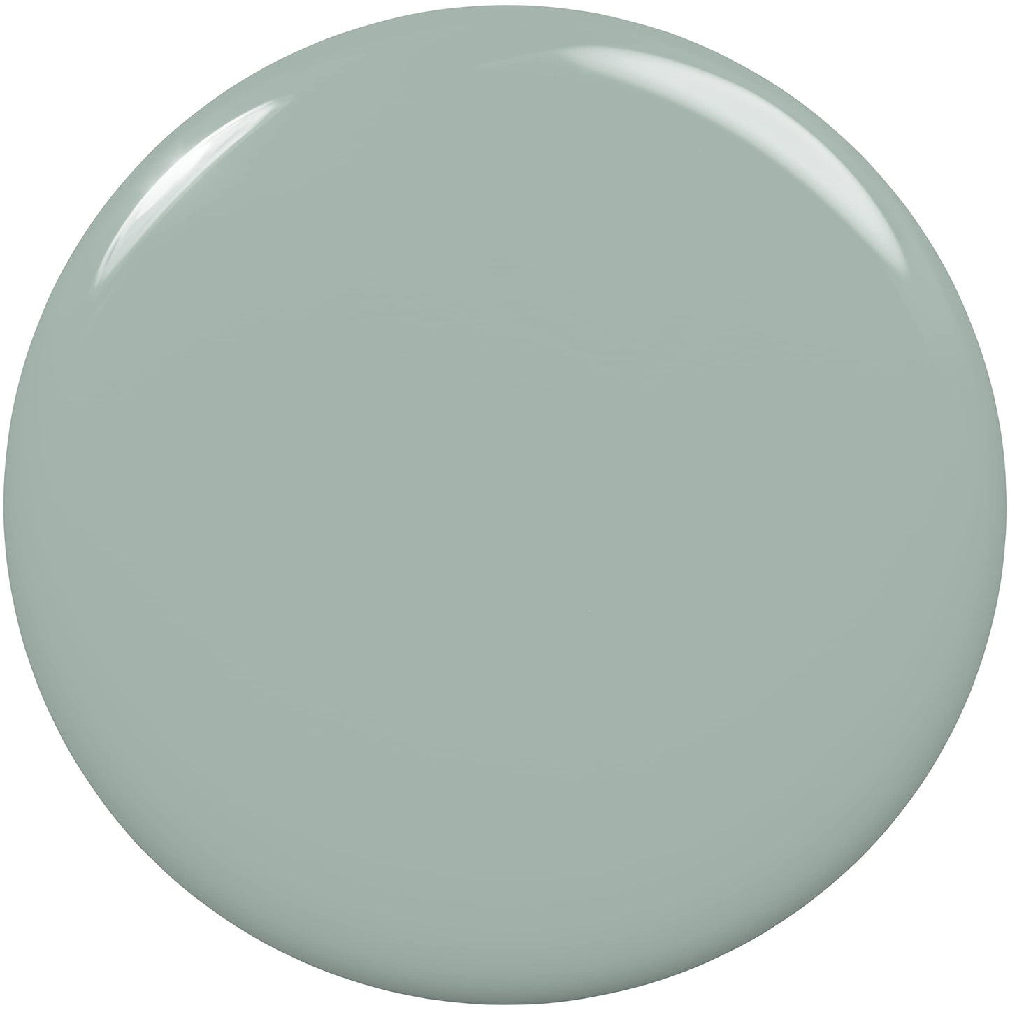 essie expressie Quick-Dry Nail Polish, 8-Free Vegan, Sk8 with Destiny, Soft Grey, Just for Kicks, 0.33 Ounce