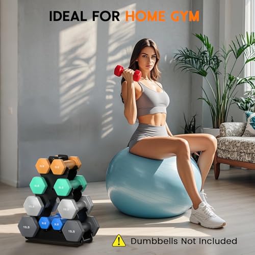 Dumbbell Rack Stand Only | Space-Saving Weight Rack for Home Gym, Hand Weight Rack Dumbbell Storage for Dumbbell Set (3-15...