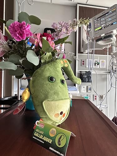 GIANT MICROBES Deluxe 14" Gallbladder Plush with Gallstones, Biology Stuffed Animal, Gallbladder Surgery Recovery Gifts, G...