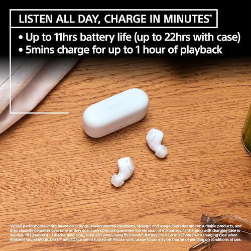 Sony WF-C510 Truly Wireless in-Ear Bluetooth Earbud Headphones with up to 22-Hour Battery, Multipoint-Connection, Mic and ...