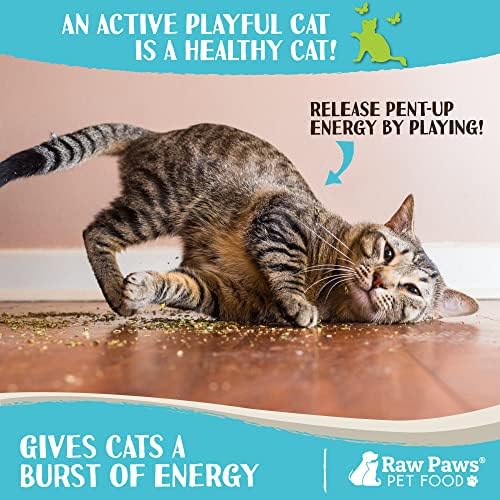 Raw Paws Fresh Catnip for Cats, 1-oz (2 Cups) - Use for Refillable Catnip Toys for Cats - Natural Dried Cat Nip