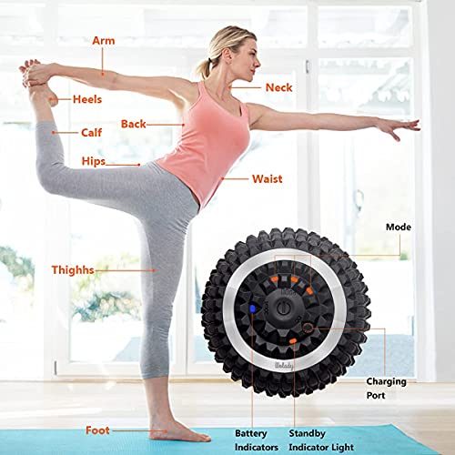 Wolady Vibrating Massage Ball 4-Speed High-Intensity Fitness Yoga Massage Roller, Relieving Muscle Tension Pain & Pressure...