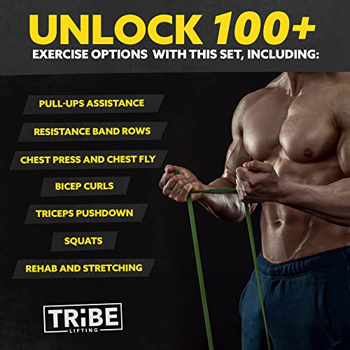 Long Resistance Bands for Working Out Men and Women - Set of 5 Pull-Up Bands, Rubber Handles and Door Anchor - Workout Ban...