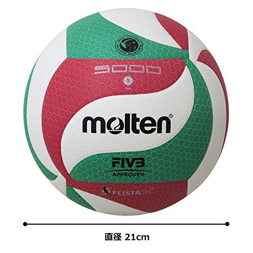 Molten Volley Ball