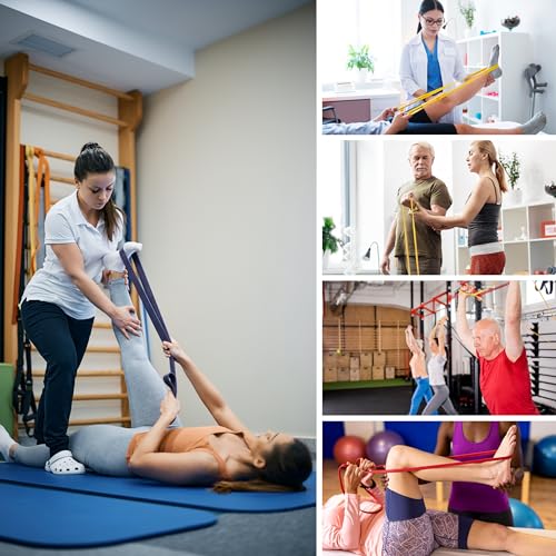 Resistance Bands for Working Out, Workout Bands, Training Bands Set, Pull Up Exercise Bands for Home Workouts, Full Body T...