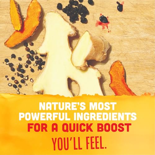 Vive Organic Elderberry Immunity Boost Wellness Shot, 2 fz