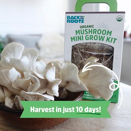 Back to the Roots Organic Mini Mushroom Grow Kit, Harvest Gourmet Oyster Mushrooms In 10 days, Top Gardening Gift, Holiday...