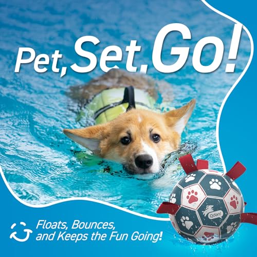 QDAN Dog Balls, World Cup Soccer Ball with Straps, Durable Herding Balls for Small Medium Pet, Puppy Birthday Gifts, Dog W...