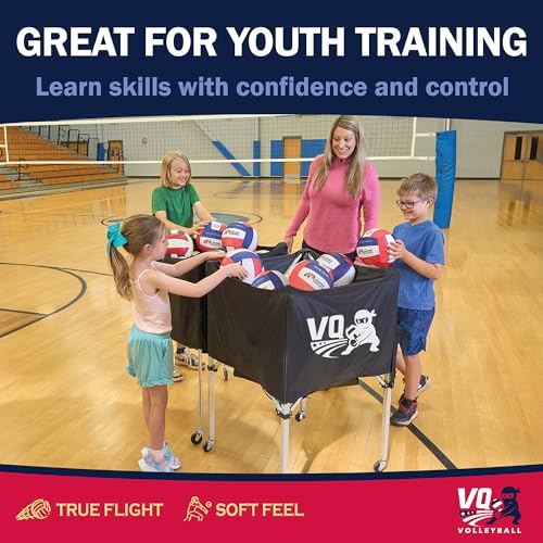 VQ Sports - Premium Soft Volleyball - Foam, Silent, No-Deflate, Official Size & Weight, Durable Indoor Volleyball for Trai...