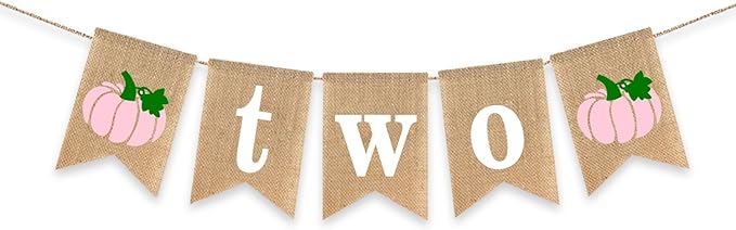 Two Pumpkin Banner 2nd Birthday Party Decoration Little Pumpkin Fall Autumn Second Birthday Highchair Burlap Garlands Pink