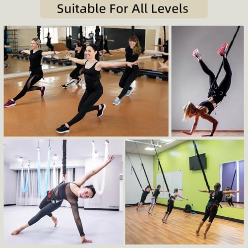 PRIORMAN Bungee Fitness Set, Heavy Resistance Band Set, Professional 4D Yoga Bungee Rope Workout Equipment W/6 Sizes, for ...
