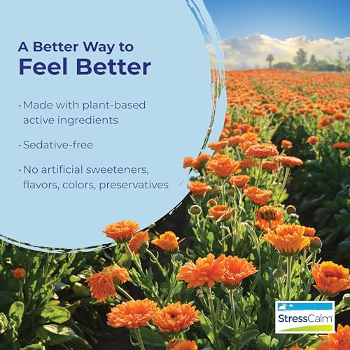 Boiron StressCalm Tablets for Relief of Stress, Anxiousness, Nervousness, Irritability, and Fatigue - 120 Count (2 Pack of...