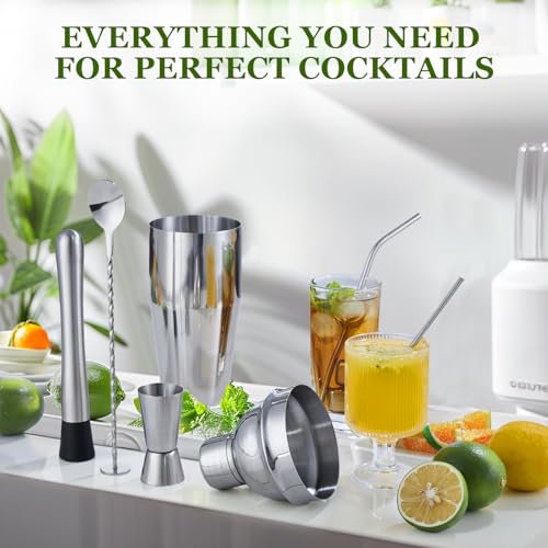 Cocktail Shaker Set, 23-Piece Stainless Steel Bartender Kit with Acrylic Stand & Cocktail Recipes Booklet, Professional Ba...