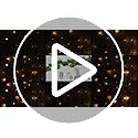 JACKYLED 84Ft 12 Pack Artificial Ivy Garland Fake Plants, Ivy Vines Leaves with CE Certified 80 LED String Lights, Hanging...