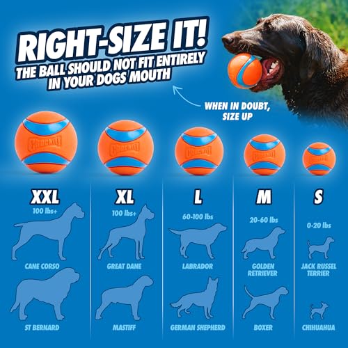 Chuckit! Ultra Ball Dog Toy - Size XXL - For Dogs 100+ lbs - Made from Durable Rubber - Super Bouncy - Floats in Water - ...