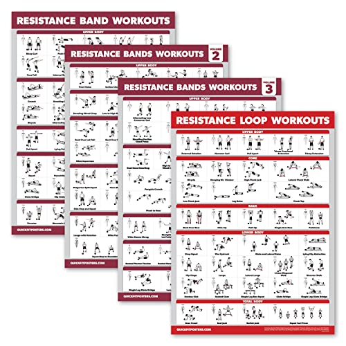 Palace Learning 4 Pack - Resistance Bands Workout Exercise Posters Volume 1, 2 & 3 + Resistance Loops Fitness Chart (LAMIN...