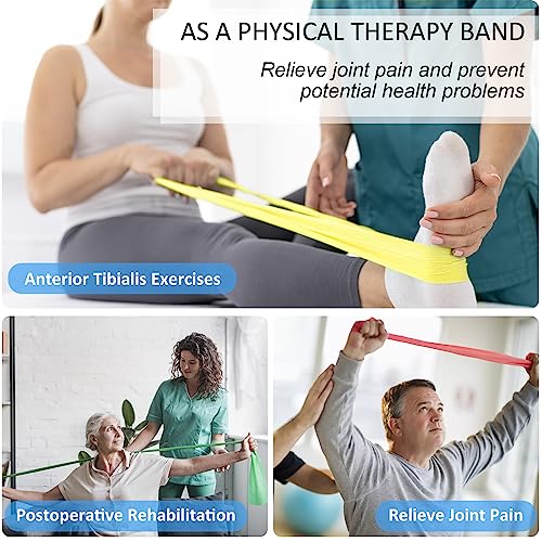 Resistance Bands for Working Out, Physical Therapy Bands, Latex Free Elastic and Exercise Bands Set for Stretching, Suitab...