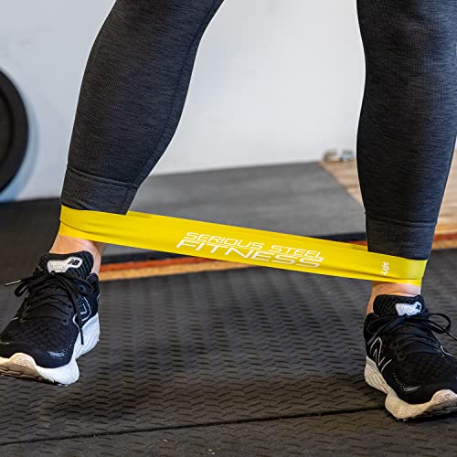 Serious Steel Fitness Mini Resistance Loop Bands | Rehab and Prehab Stretch Bands | 12" Exercise Workout Bands (Sets of 5 ...